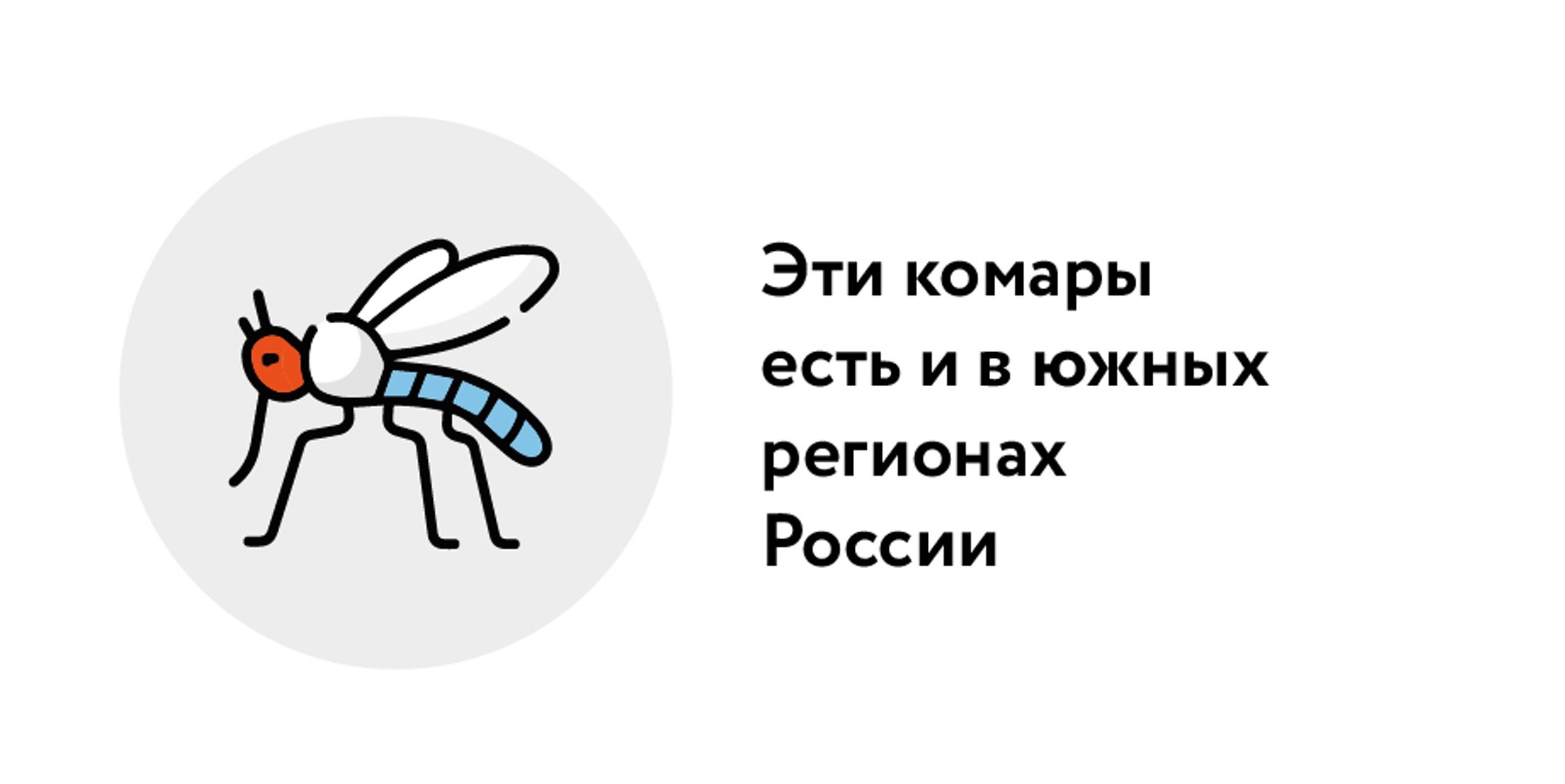 Вирусолог оценил опасность комаров – переносчиков лихорадки Западного Нила  из Финляндии – Москва 24, 30.06.2023