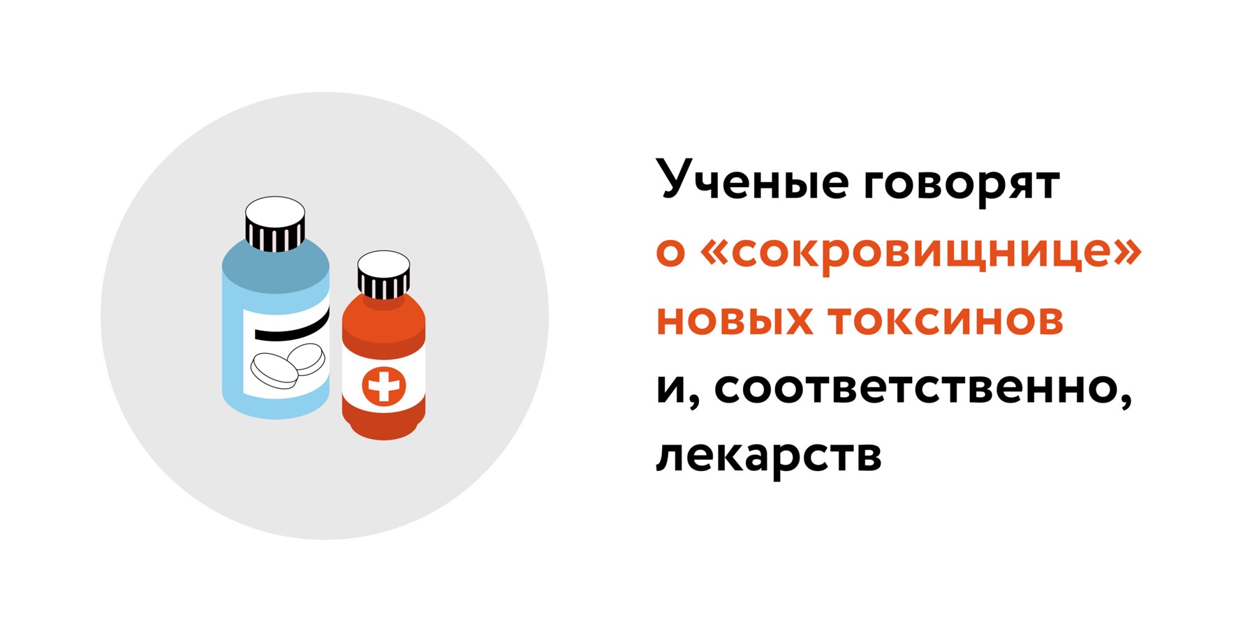 Исторический яд: зачем ученые впервые вырастили потомство смертоносных  улиток – Москва 24, 23.07.2023