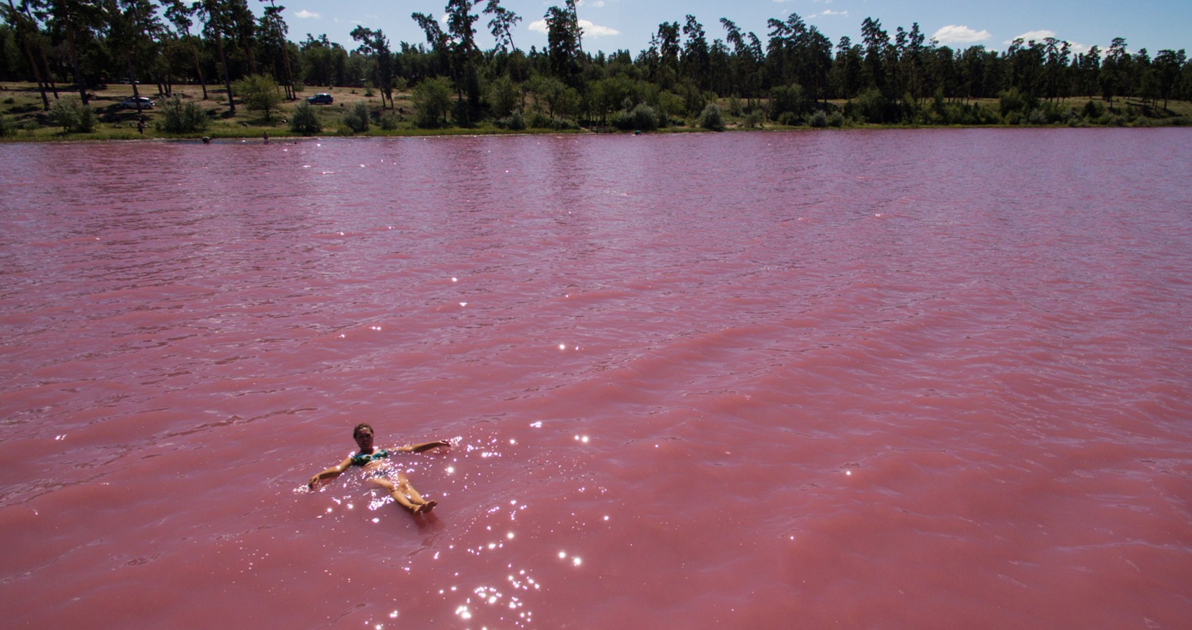 Куда съездить на выходные из Новосибирска: розовое соленое озеро Бурлинское на Алтае