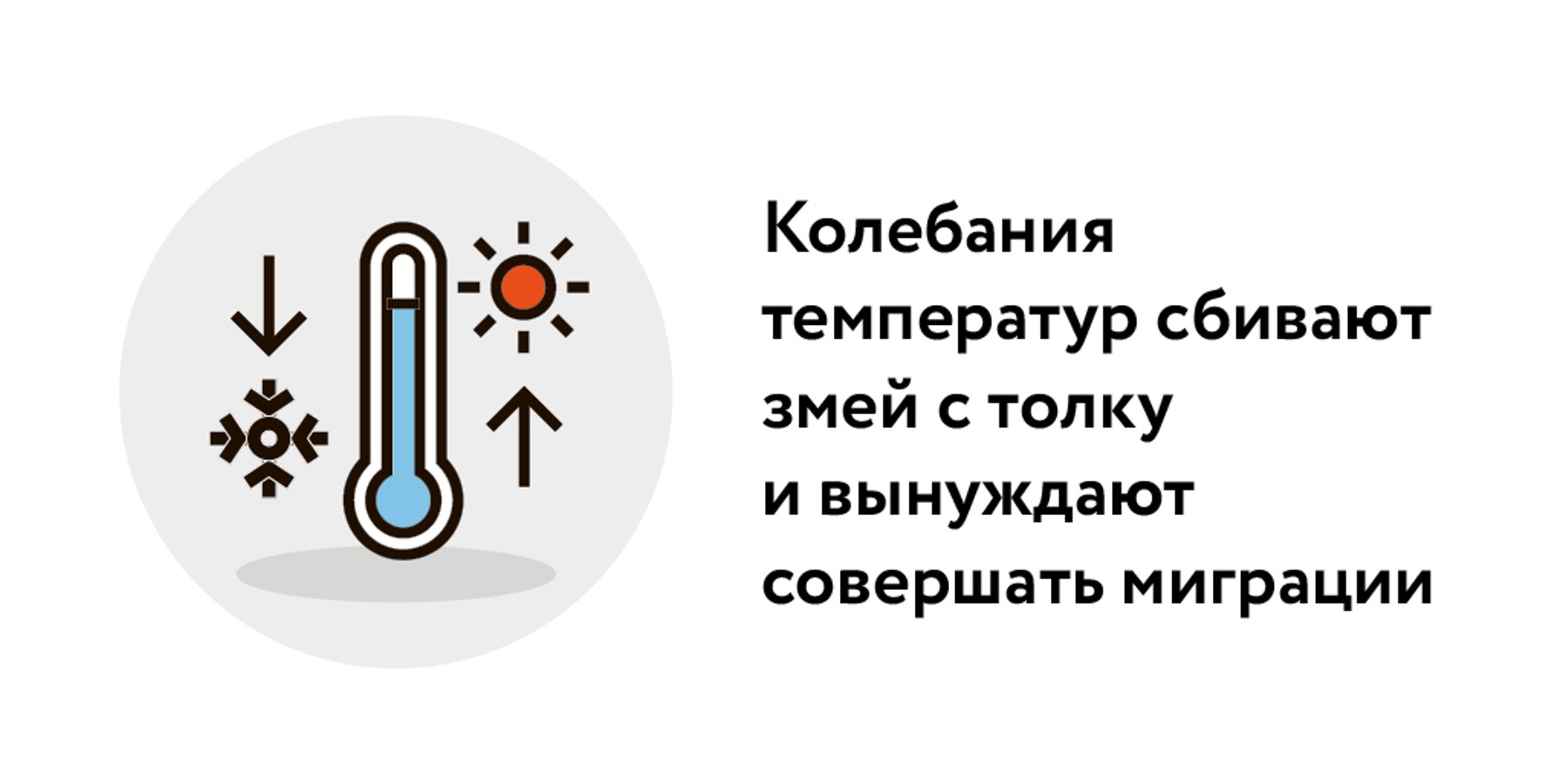 Биолог назвал способы защиты дачных участков от гадюк – Москва 24,  16.08.2023