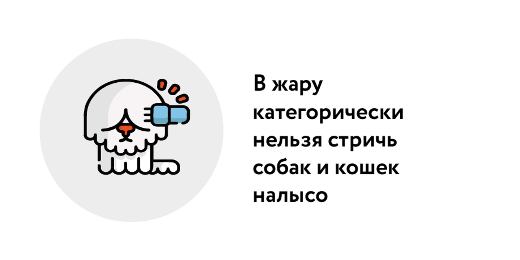 Эксперты рассказали, как пережить жару в квартире без кондиционера – Москва  24, 04.08.2023