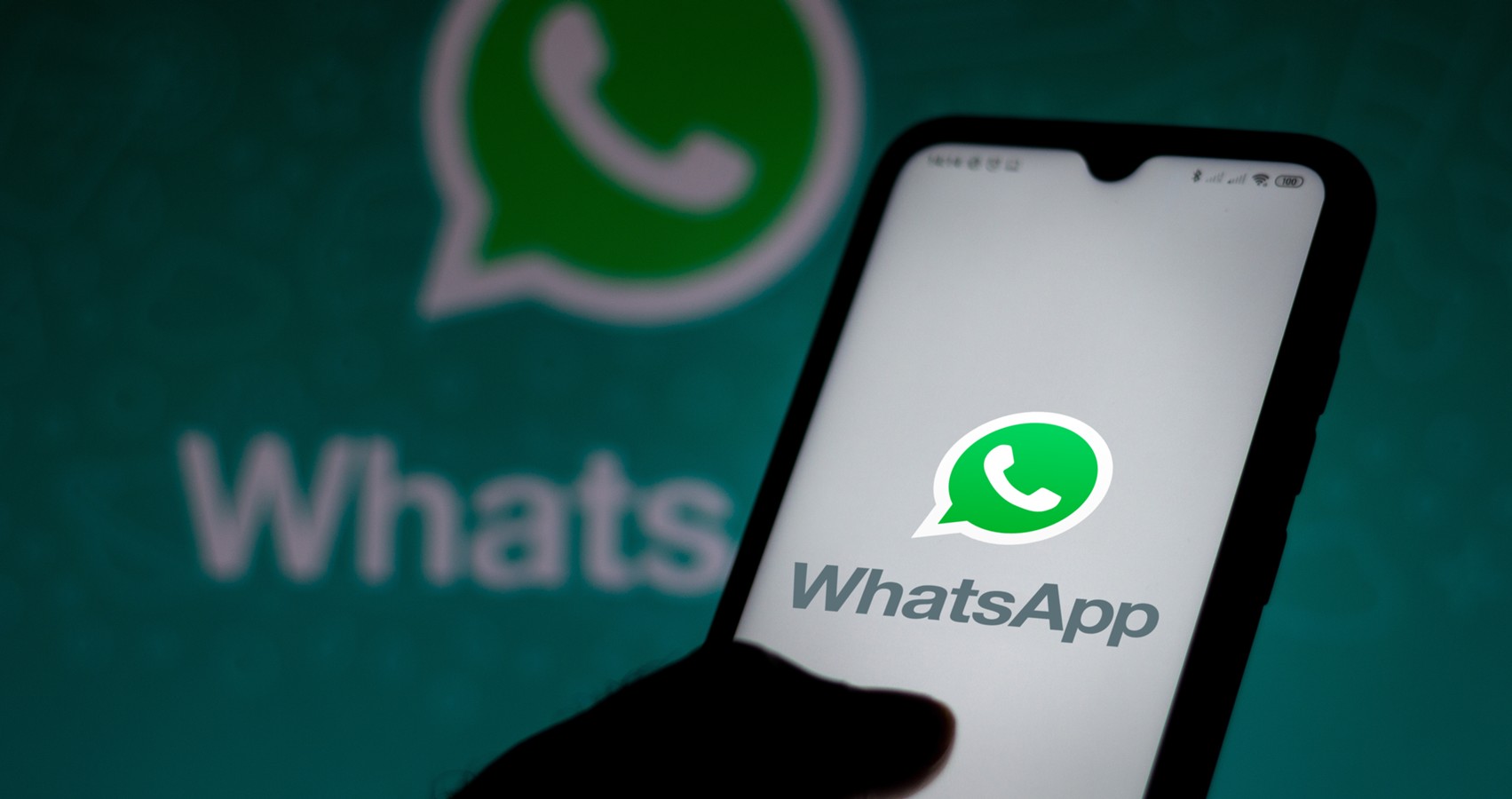 Россиянам разъяснили, при каких условиях WhatsApp в стране заблокируют –  Москва 24, 14.09.2023