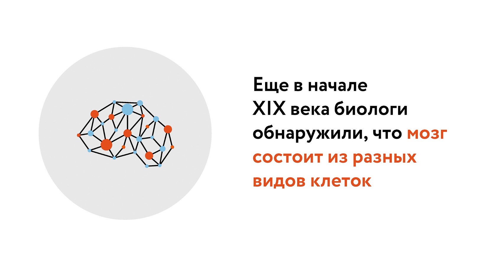 Расчет окончен: сколько типов клеток находится в человеческом мозге –  Москва 24, 20.10.2023