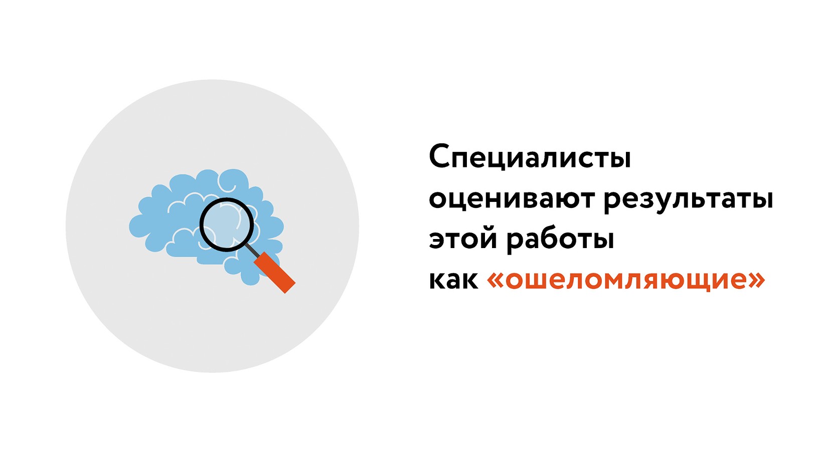 Расчет окончен: сколько типов клеток находится в человеческом мозге –  Москва 24, 20.10.2023