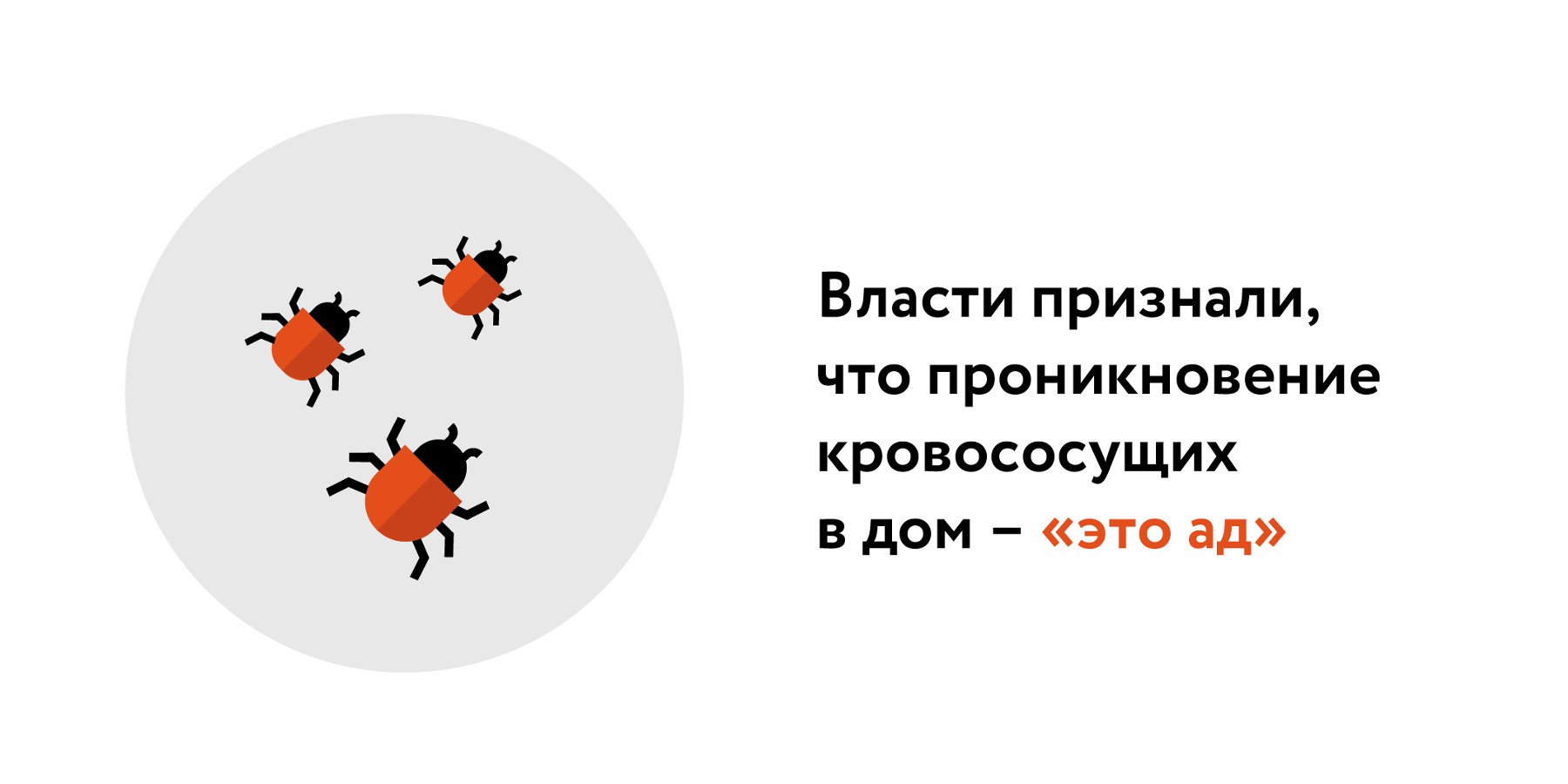 Эксперт рассказал, стоит ли россиянам бояться завоза клопов из Парижа –  Москва 24, 04.10.2023