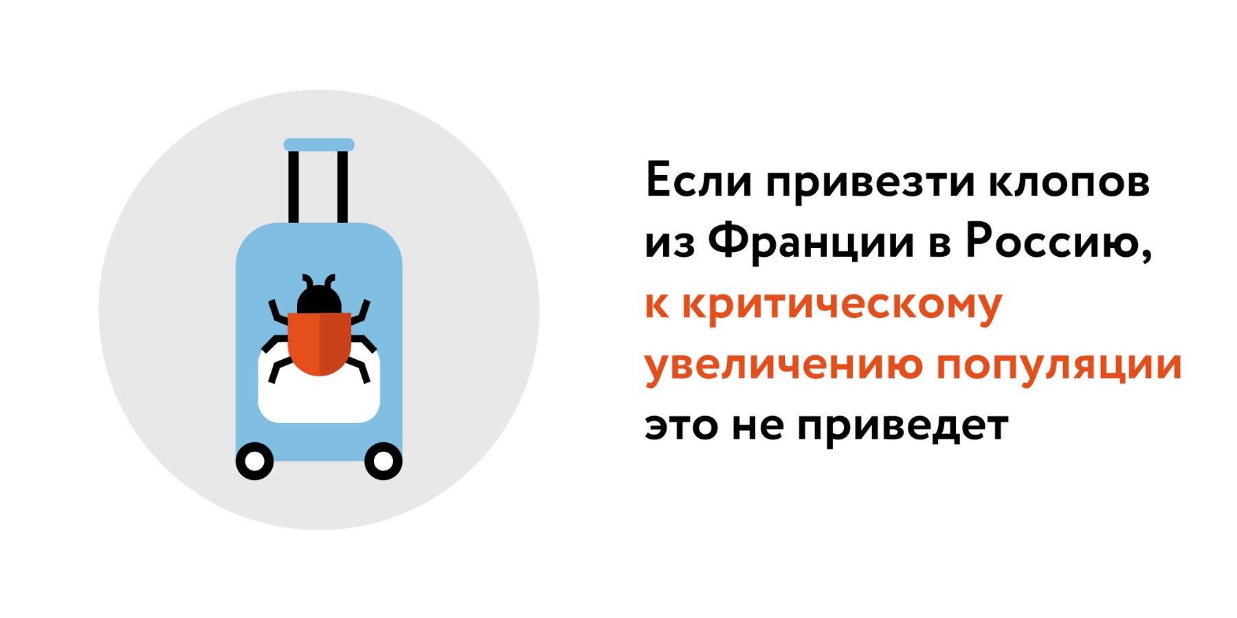 Эксперт рассказал, стоит ли россиянам бояться завоза клопов из Парижа –  Москва 24, 04.10.2023