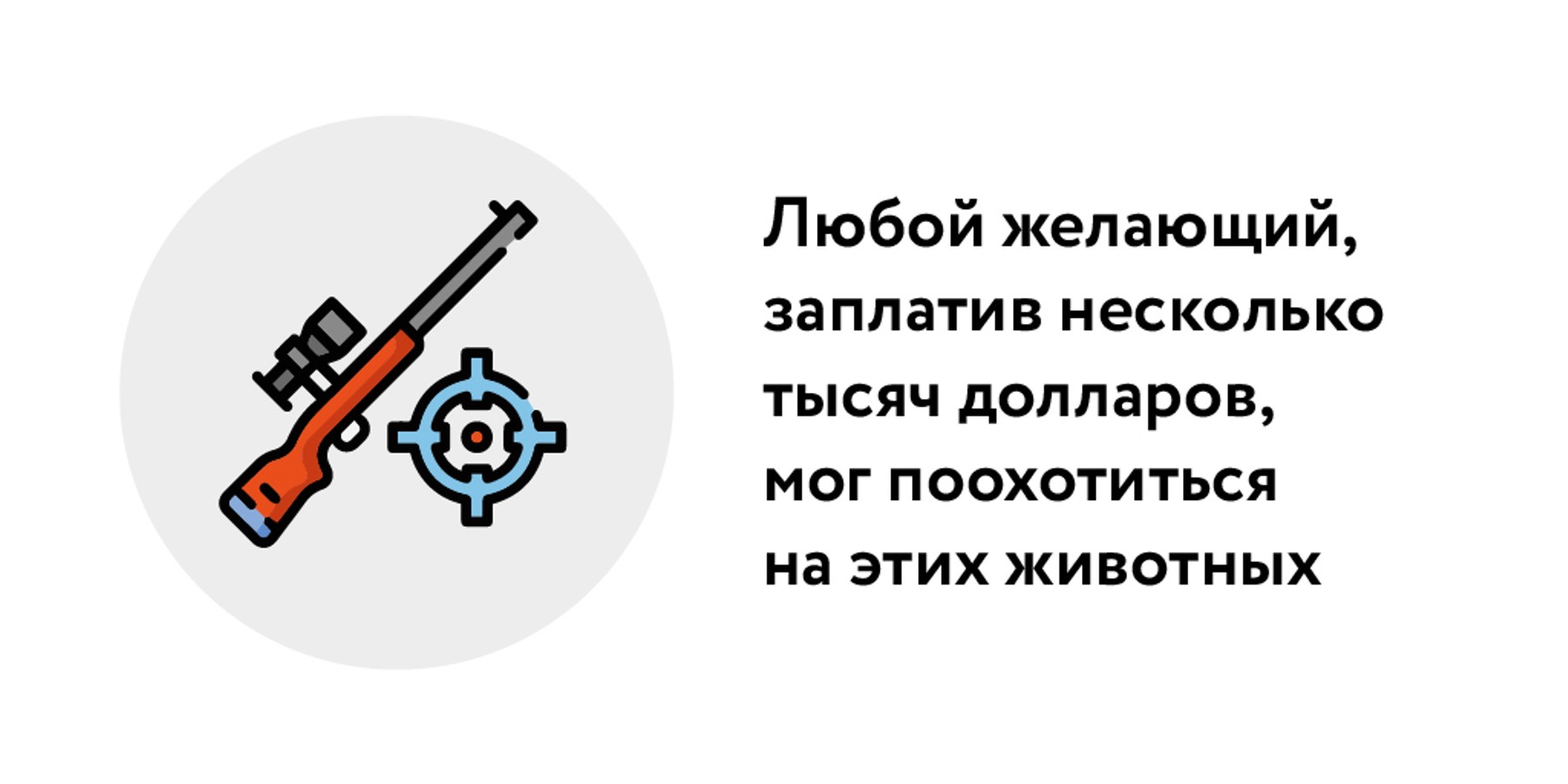 Бедные двойники: как редких баранов клонировали для охоты на них – Москва  24, 21.03.2024