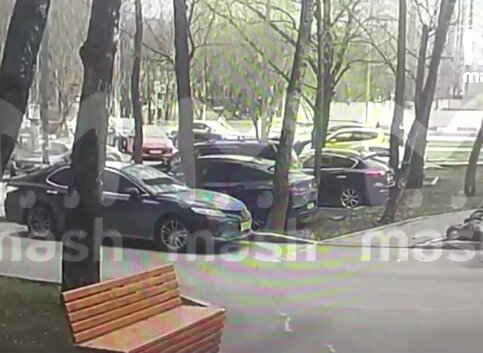 (ВИДЕО) В Кишиневе крупная змея заползла в машину на Чеканах. Потребовалась помощь спасателей