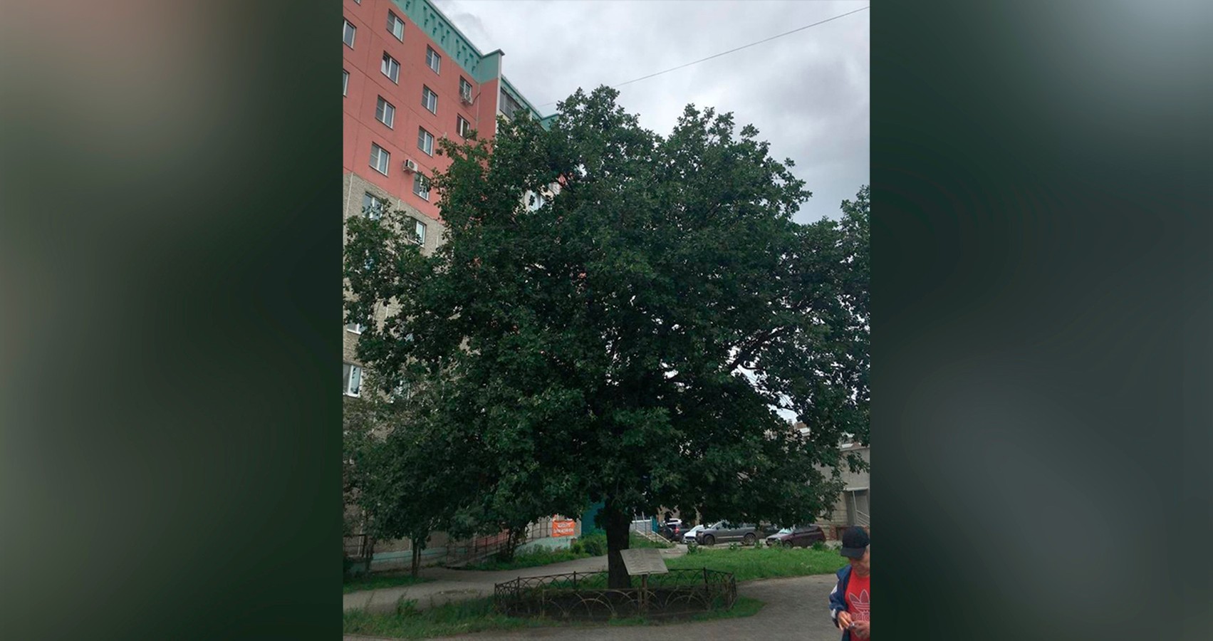 Следы Великой Отечественной войны, ставшие мемориалами – Москва 24,  04.05.2024