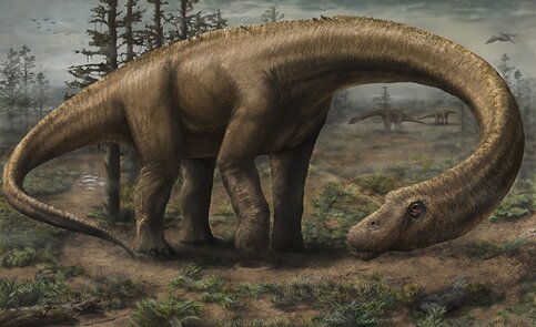 Картинки по запросу Элалтитан динозавр