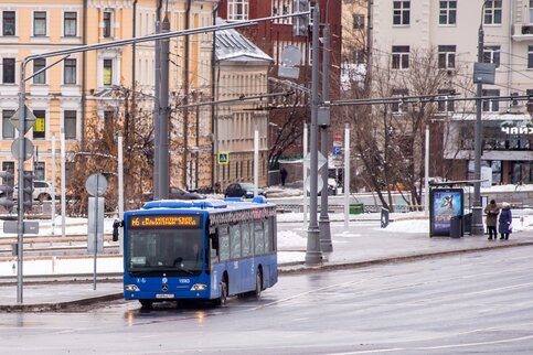 Шины автобусов в зимой