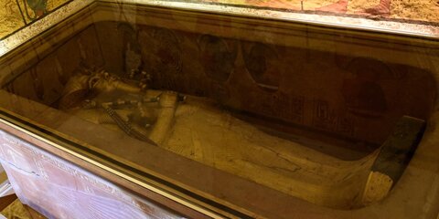 Гробницу жившего 3,5 тысячи лет назад ювелира нашли в Египте