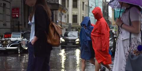 Москвичей предупредили о дожде и ветре с порывами до 17 м/с в ближайшие часы