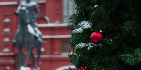 Музеи Москвы будут работать бесплатно на новогодних каникулах