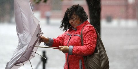 Усиление ветра до 15 м/с прогнозируют в Москве 10 ноября