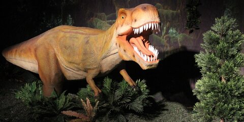 Ученые раскрыли главную причину вымирания динозавров