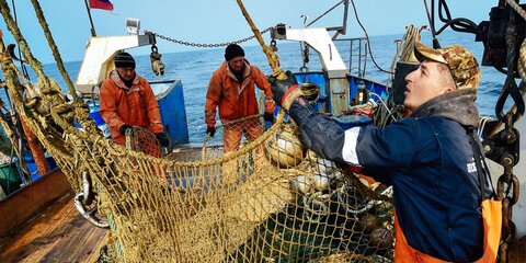 Правила рыболовства в России изменятся