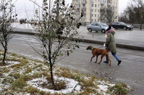 До минус 10 градусов ожидается в столице России в конце недели