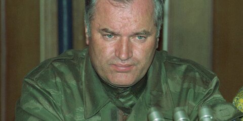 Защита Младича обжалует приговор Международного трибунала